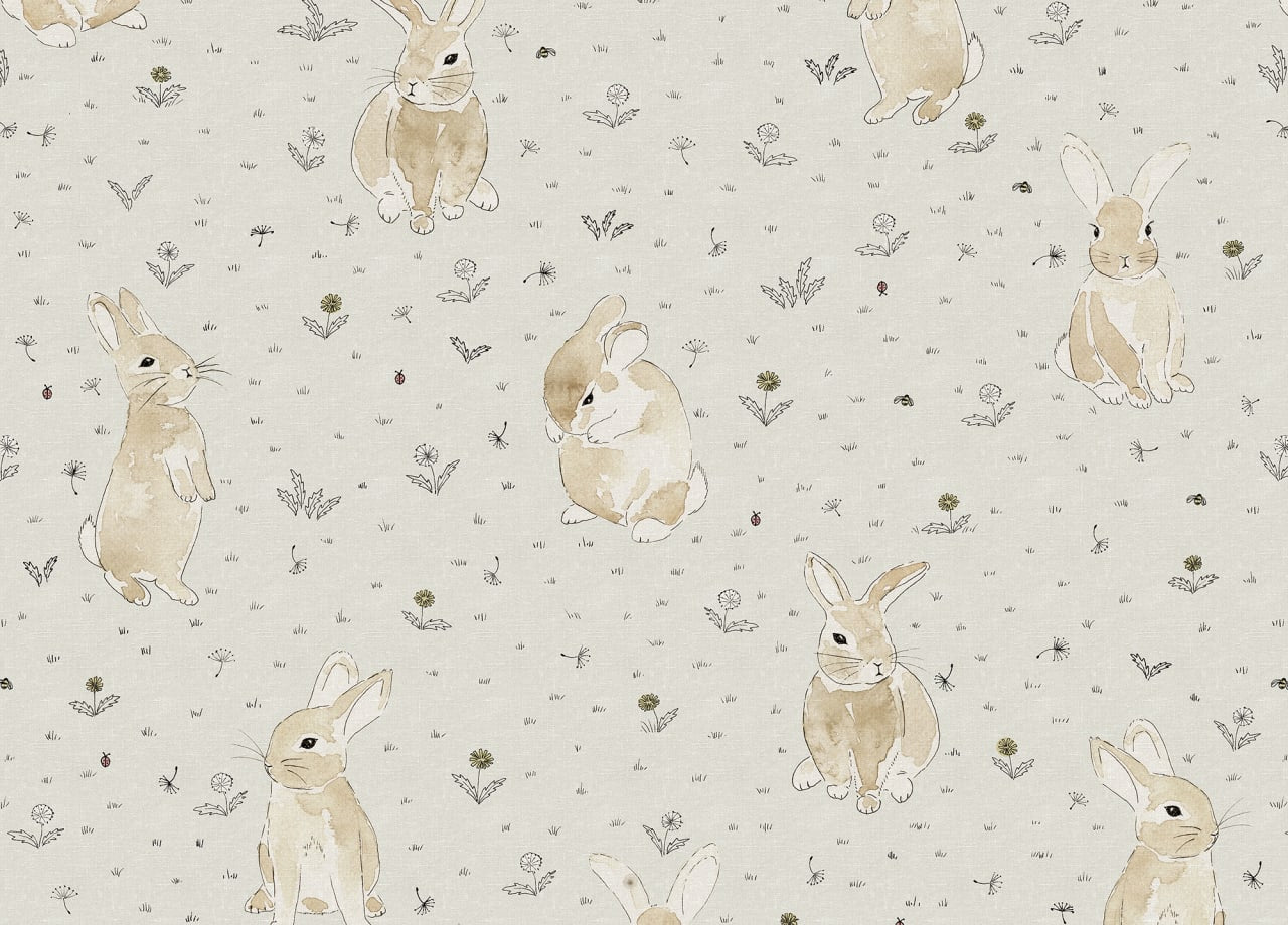 Bunny Field