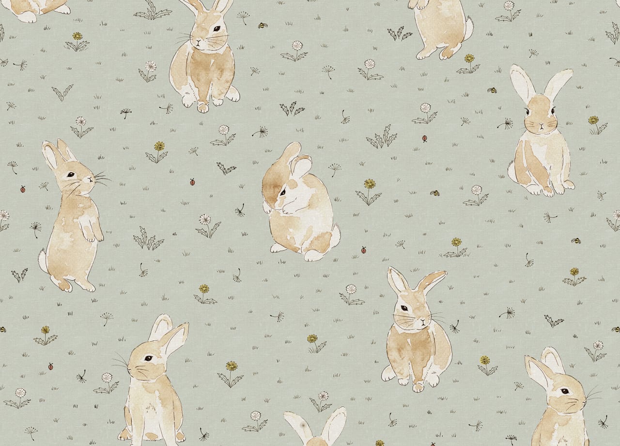 Bunny Field