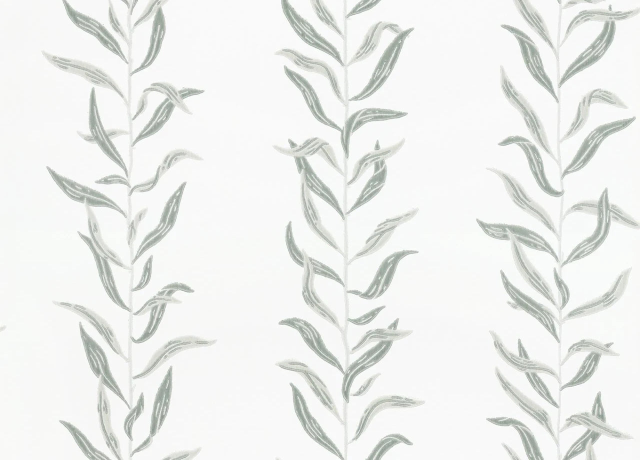 Pil botanical