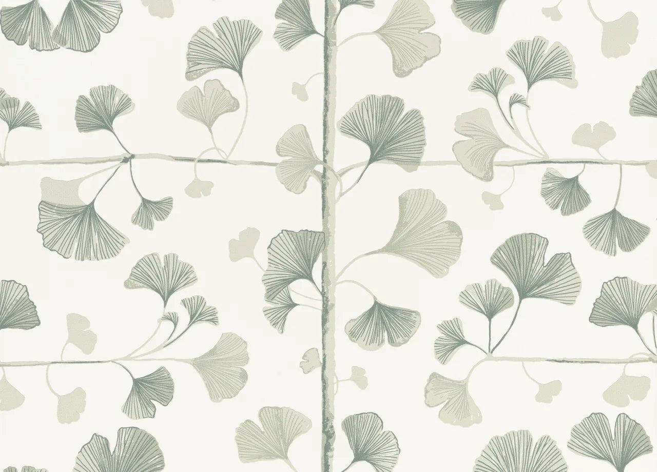 Ginkgo