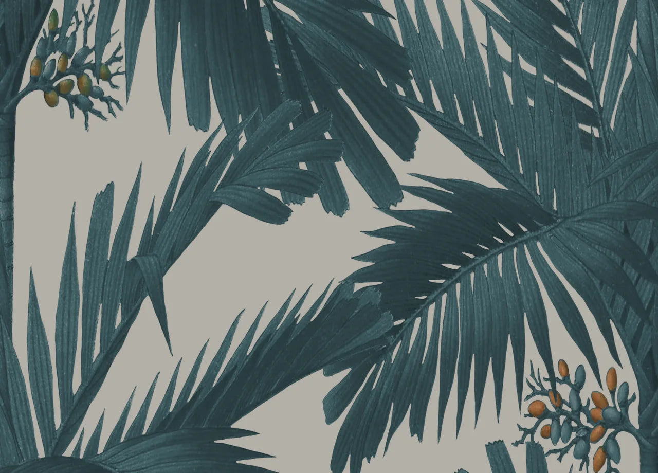 Palm Spring